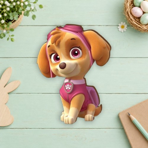 Paw patrol Paw patrol