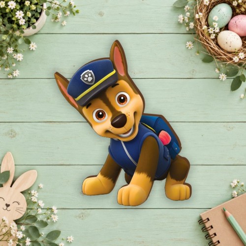 Paw patrol