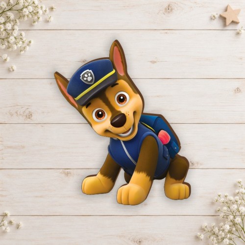 Paw patrol