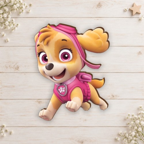 Paw patrol